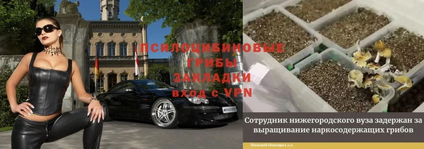 наркотики Алексин