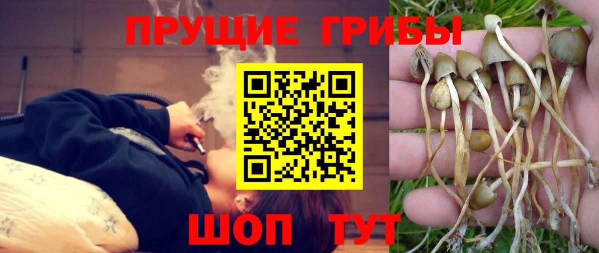 Псилоцибиновые грибы Psilocybine cubensis  Вход с VPN  Батайск 